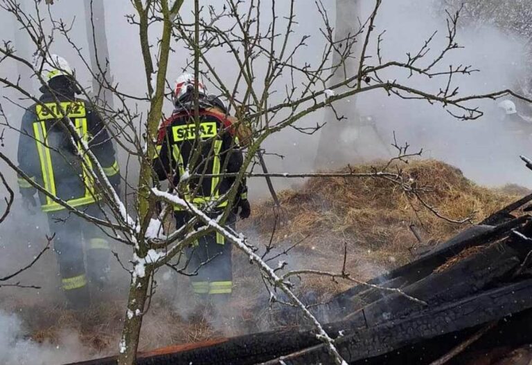 Rdziostów. Strażackie zastępy walczą z pożarem