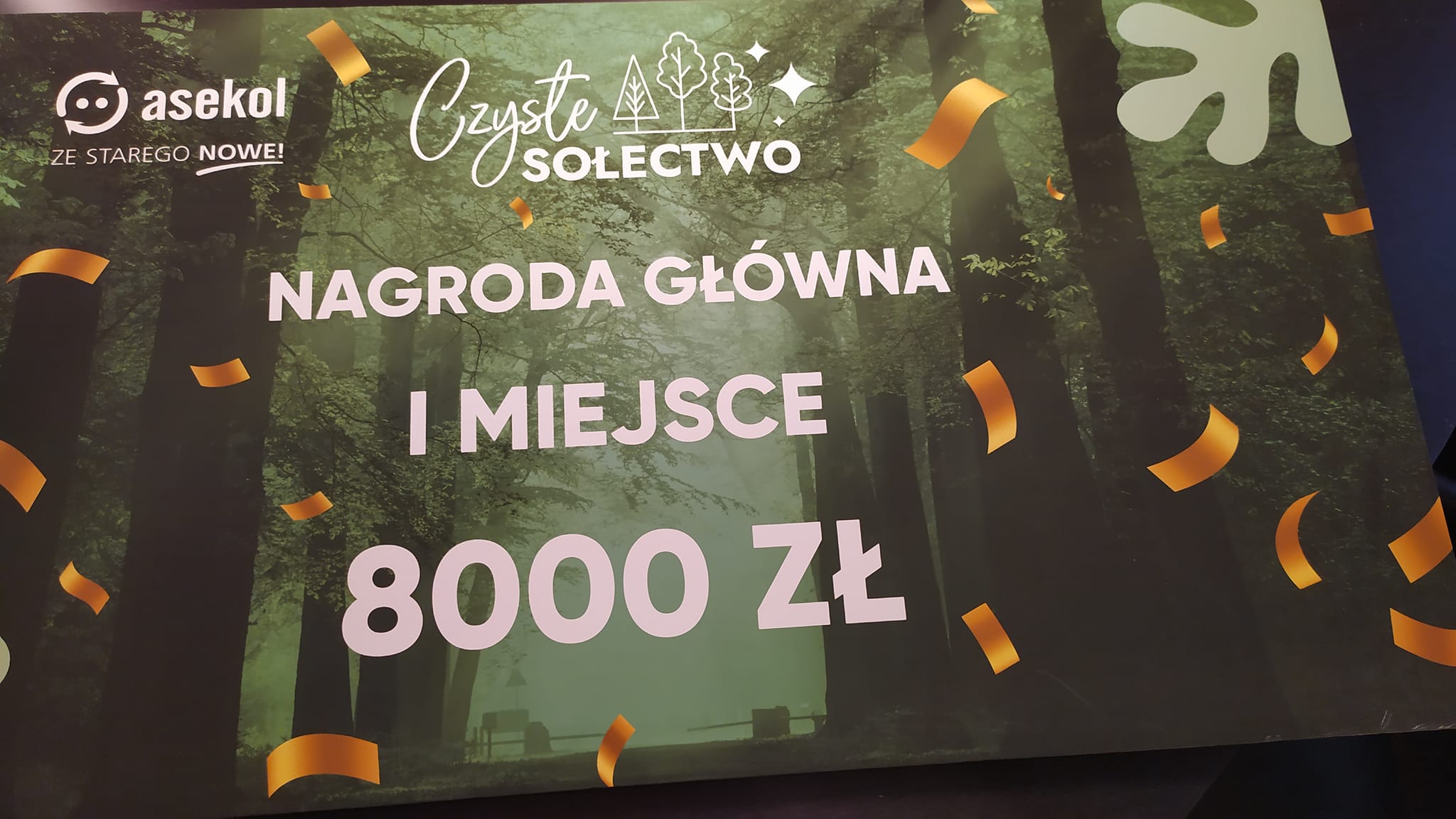Bartkowa-Posadowa, Czyste Sołectwo