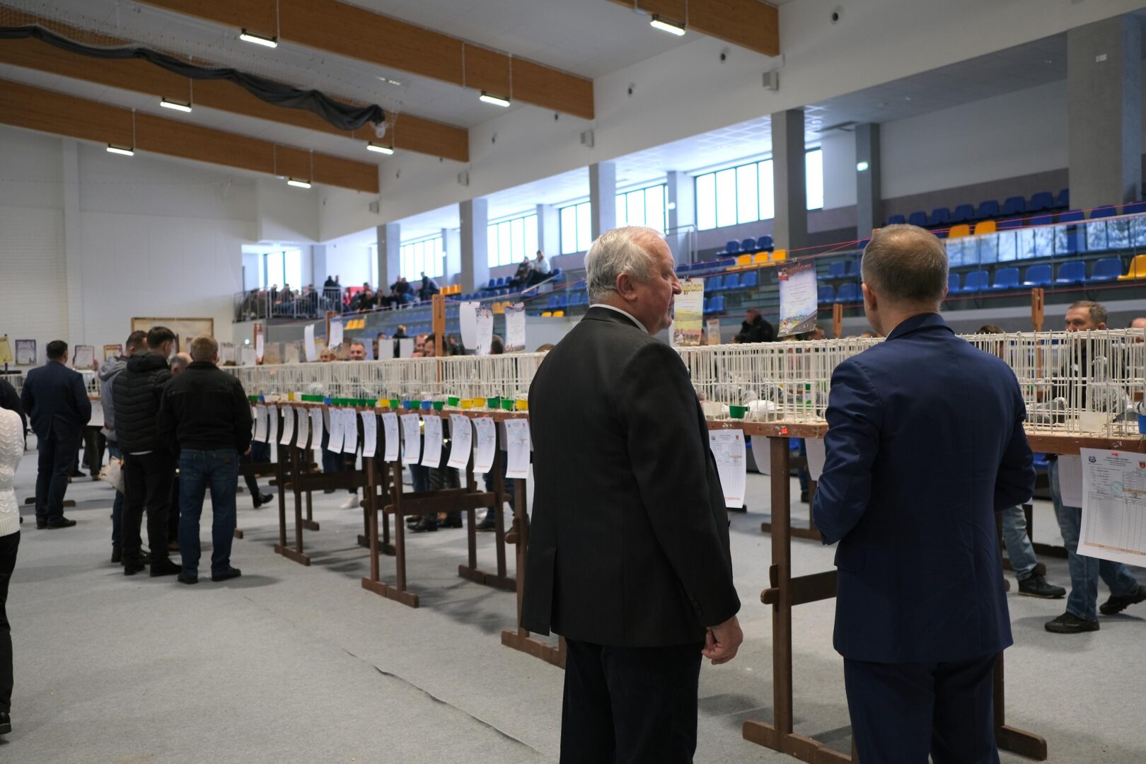 wystawa gołębi pocztowych, Korzenna