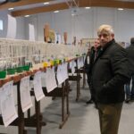 wystawa gołębi pocztowych, Korzenna