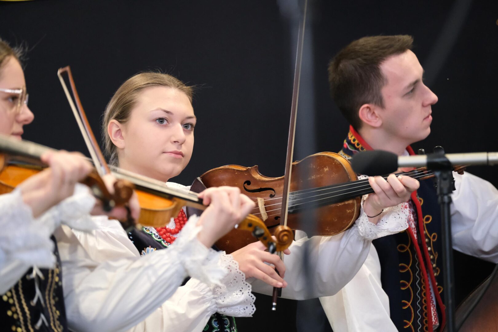 wystawa gołębi pocztowych, Korzenna