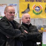 wystawa gołębi pocztowych, Korzenna