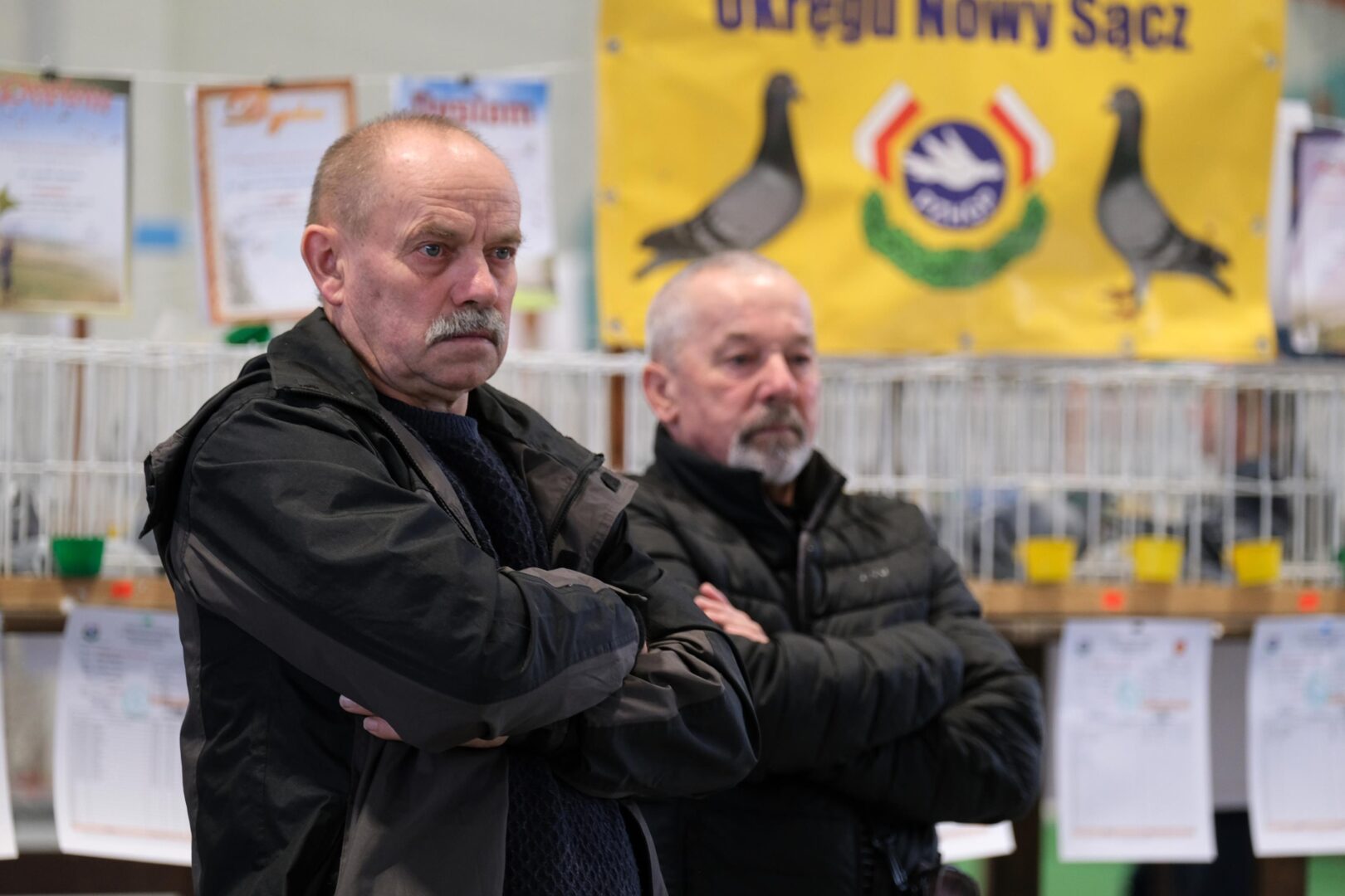 wystawa gołębi pocztowych, Korzenna