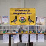 wystawa gołębi pocztowych, Korzenna