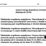 Patryk Wicher oświadczenie majątkowe