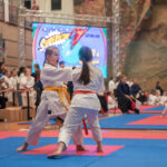VII Ogólnopolski Turniej Mikołajkowy w Karate Tradycyjnym