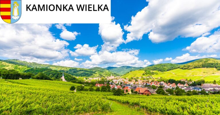 Analiza głównych agregatów finansowych gminy Kamionka Wielka