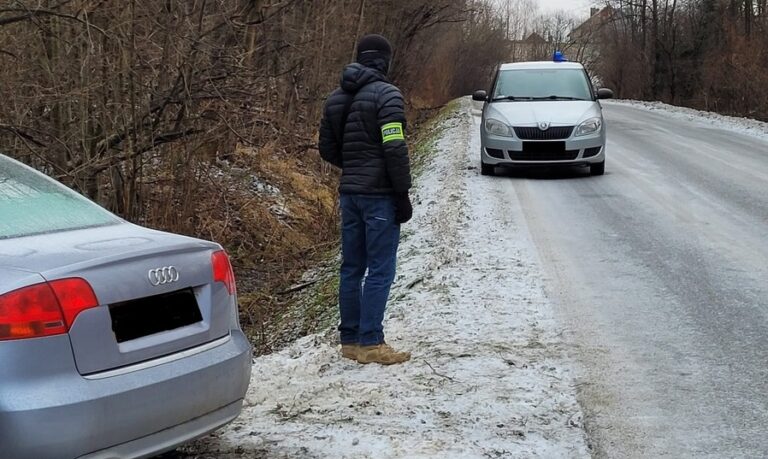 Skradziona osobówka stała ukryta w zaroślach