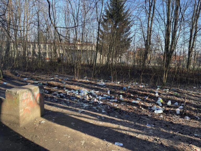 Śnieg stopniał, wyszło śmietnisko. Mieszkańcy chcą sami posprzątać, by dać dobry przykład młodzieży