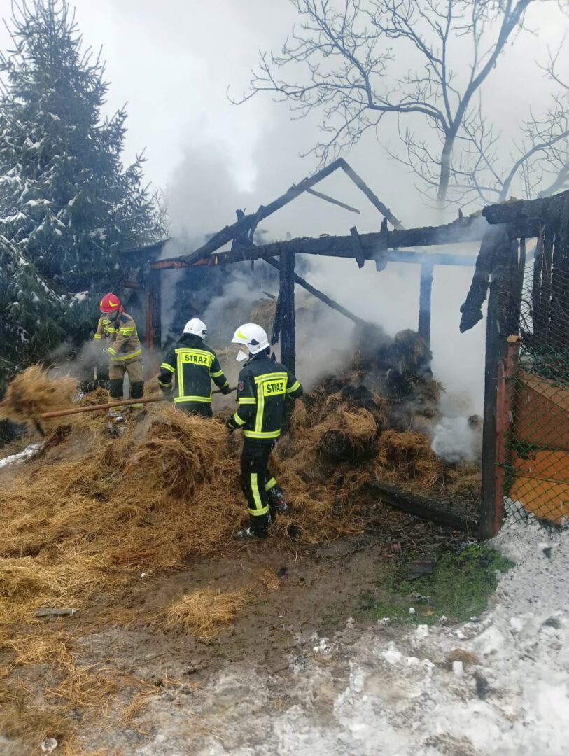 strażacy Sądecczyzna
