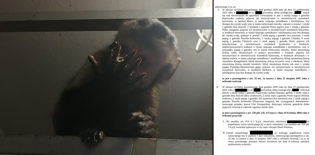 sklepy zoologiczne, nowy sącz, limanowa,