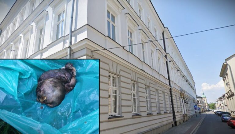 Nowy Sącz. Sąd Okręgowy utrzymał w mocy wyrok sądu I instancji względem właściciela sklepów