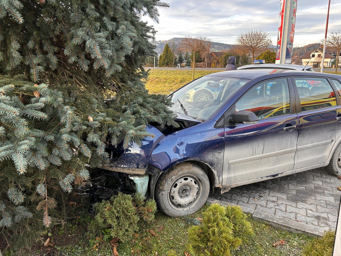 strażacy Sądecczyzna