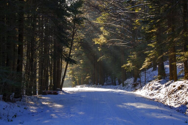 Beskid Niski niczym Bieszczady Sądecczyzny. Styczniowa destynacja National Geographic Traveler