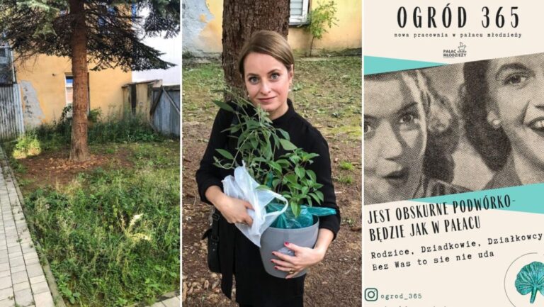 Nowy Sącz. Projekt ogród 365. Brzydki zakątek w sercu miasta bardzo się zmieni