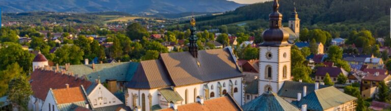 Analizy inicjatyw środowiskowych, klimatycznych i ekoenergetycznych w gminie Stary Sącz