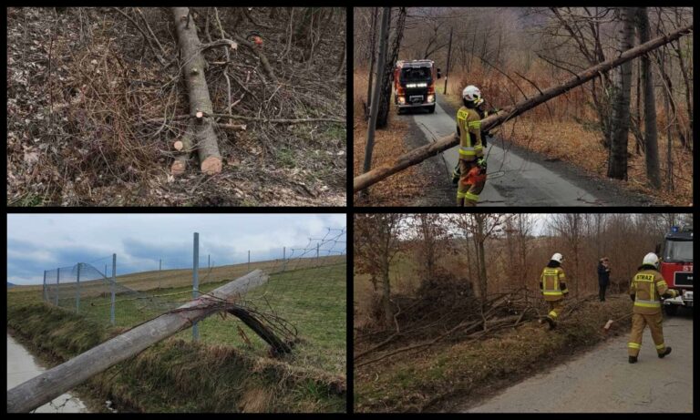Sądecczyzna. Powalone drzewa i awarie prądu