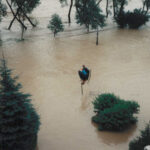 powódź 2001