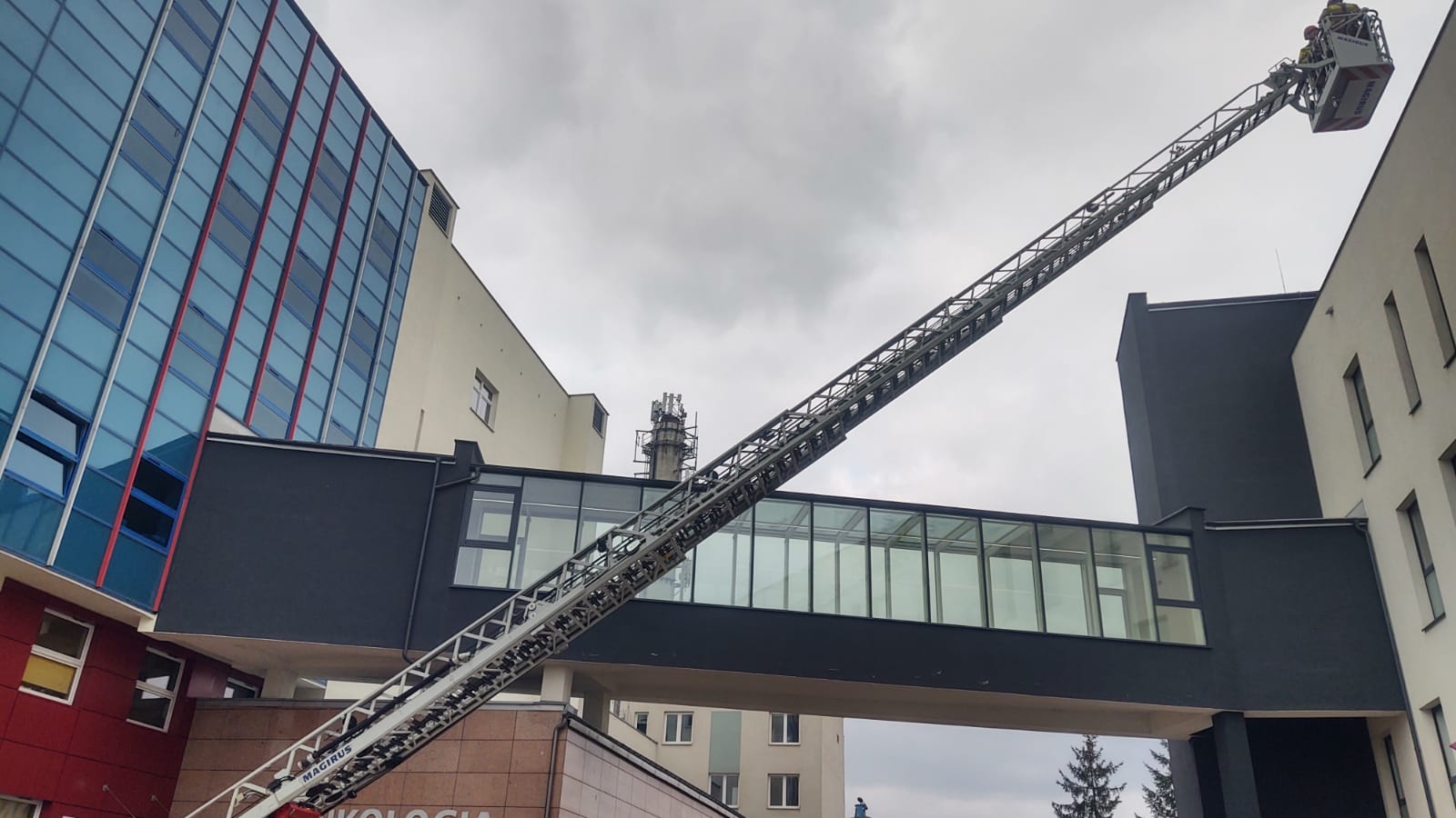 szpital Nowy Sącz