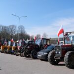 protest rolników, Korzenna