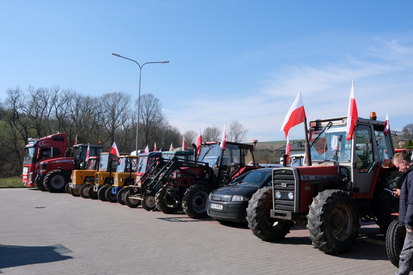 protest rolników, Korzenna