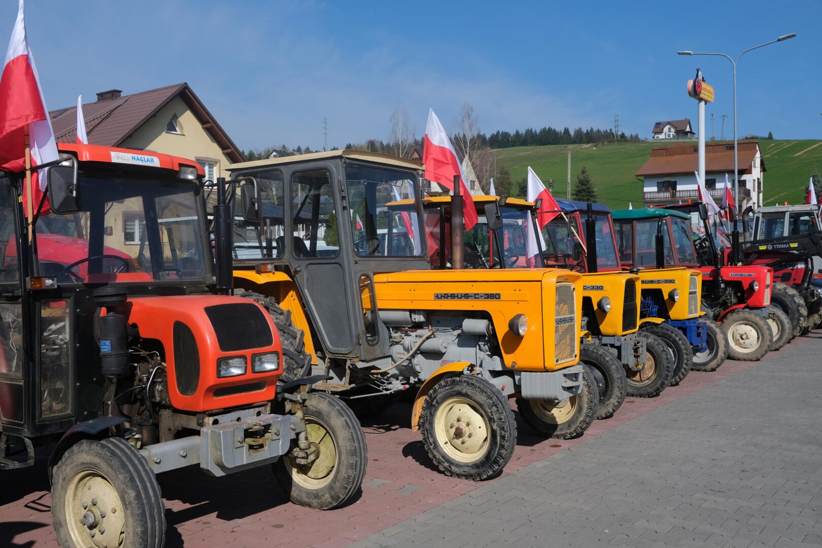 protest rolników, Korzenna