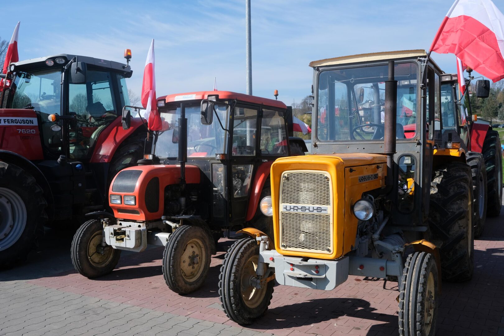 protest rolników, Korzenna