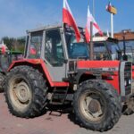 protest rolników, Korzenna