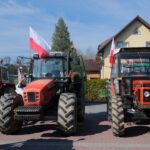protest rolników, Korzenna