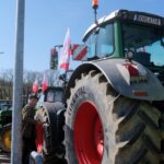 protest rolników, Korzenna