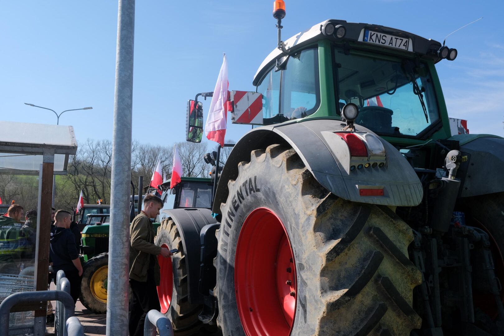 protest rolników, Korzenna