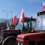 protest rolników, Korzenna