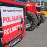 protest rolników, Korzenna