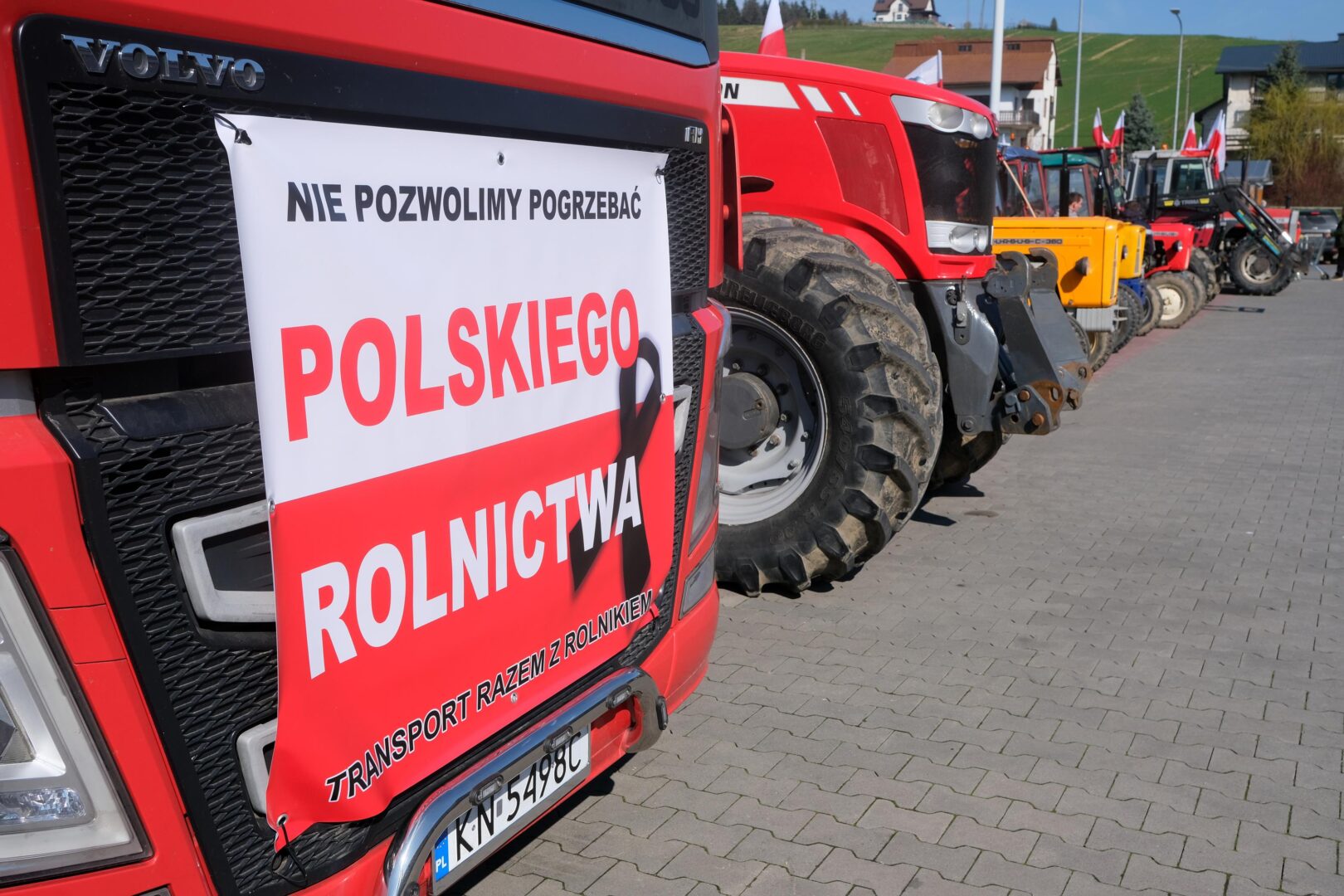 protest rolników, Korzenna