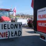 protest rolników, Korzenna