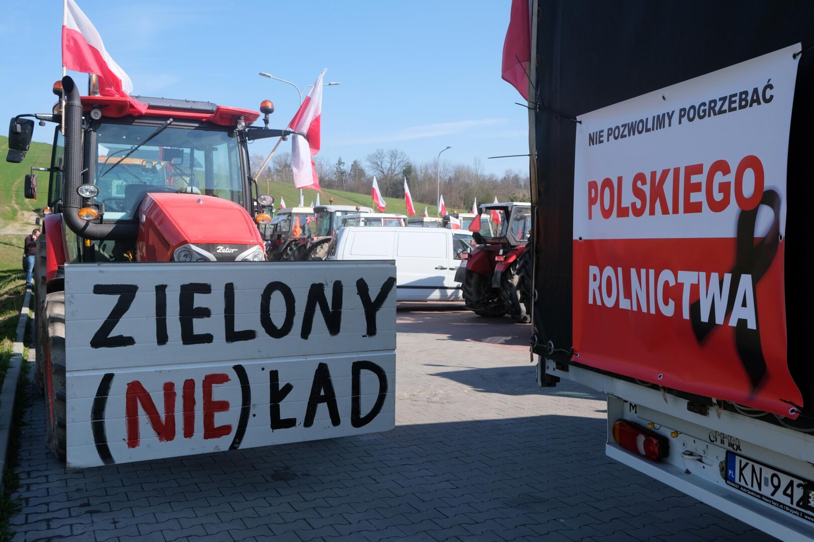 protest rolników, Korzenna