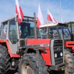 protest rolników, Korzenna