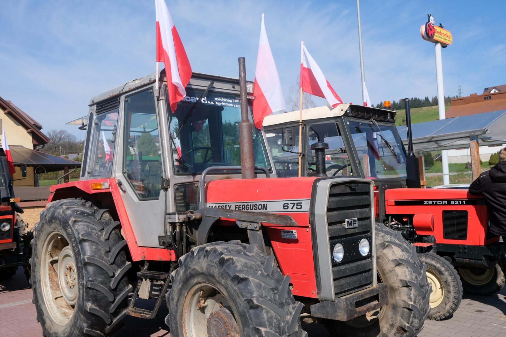 protest rolników, Korzenna