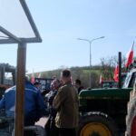 protest rolników, Korzenna