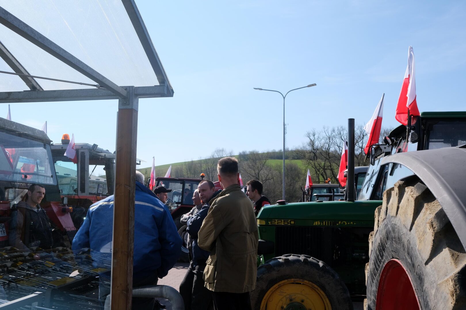 protest rolników, Korzenna
