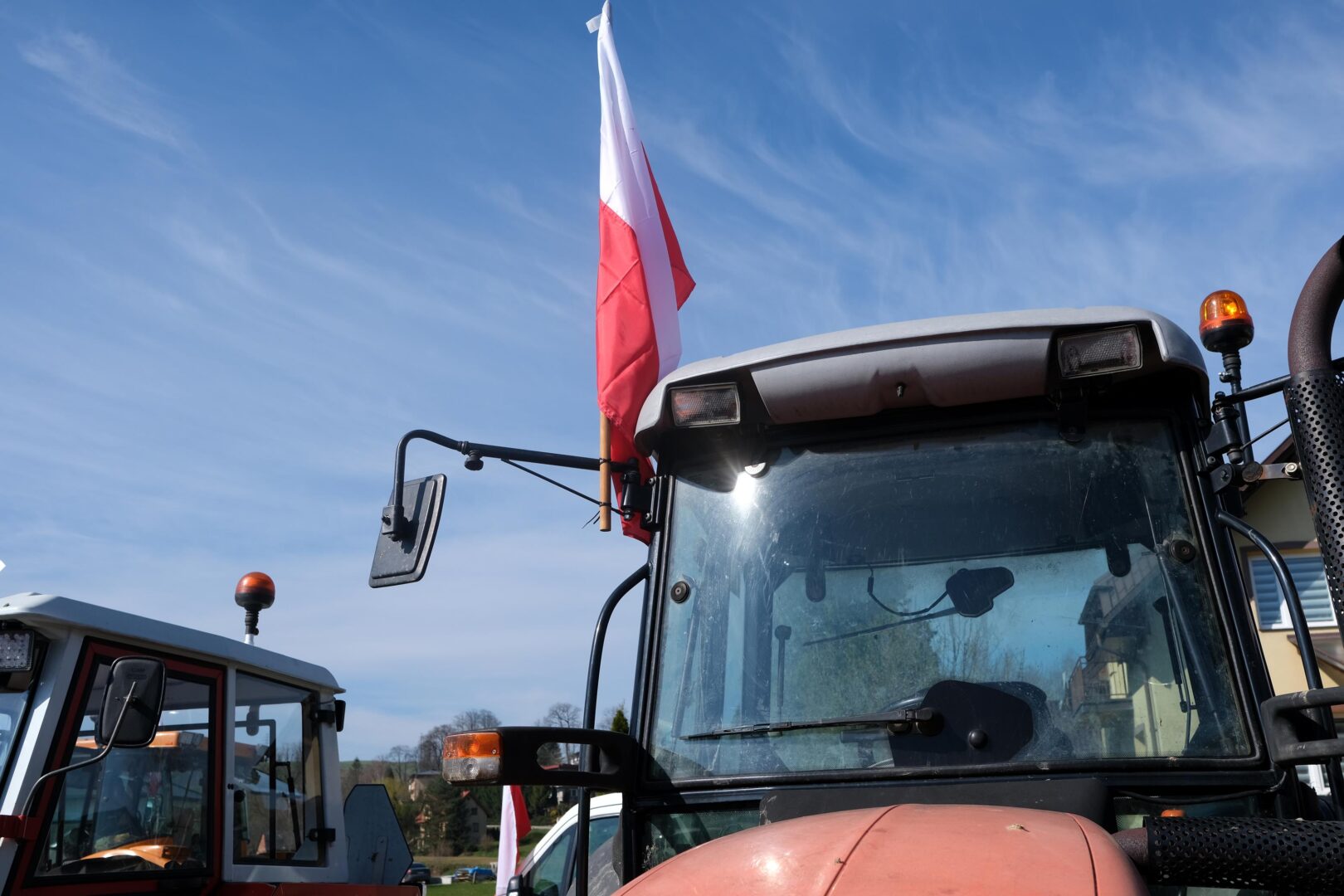 protest rolników, Korzenna
