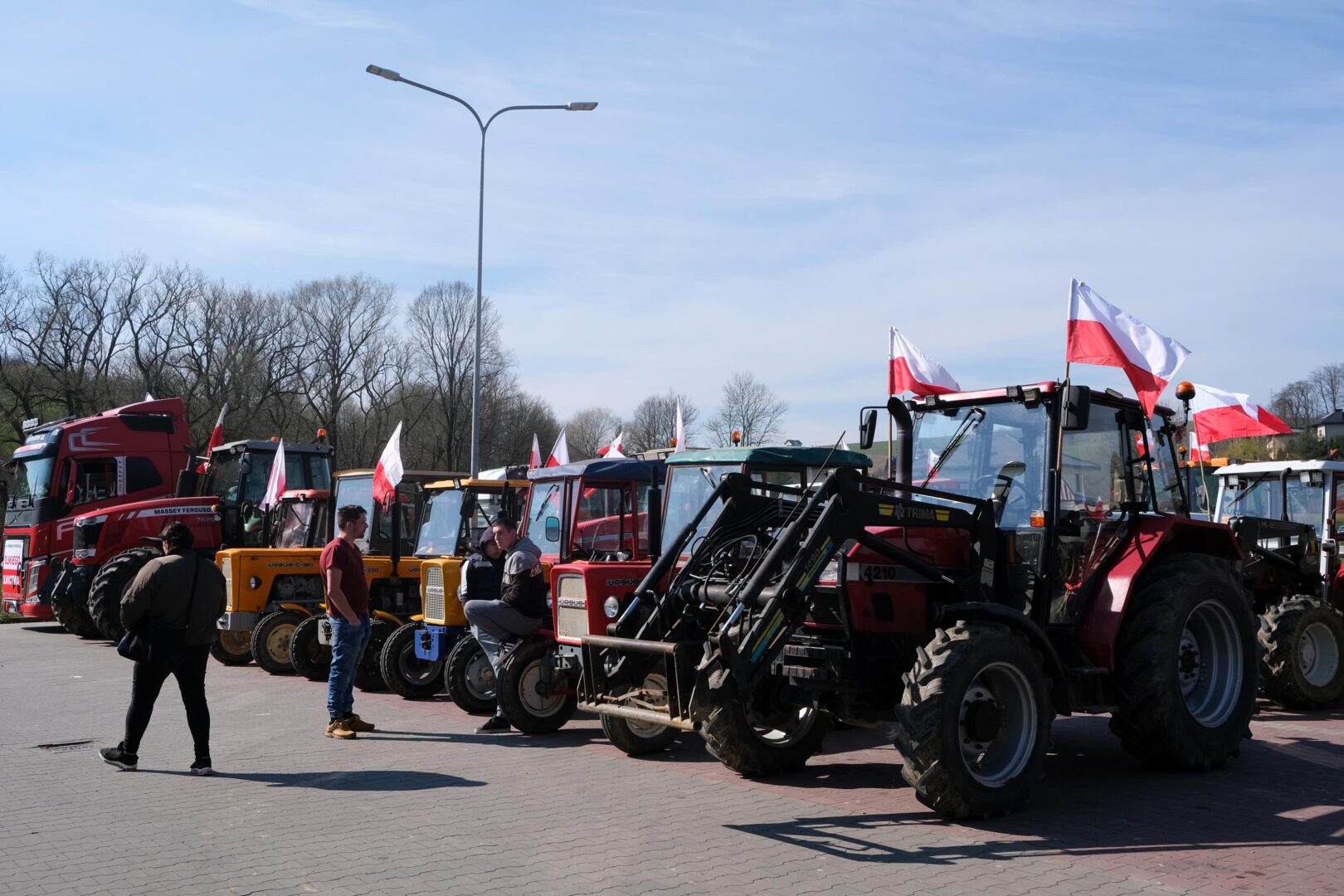 protest rolników, Korzenna
