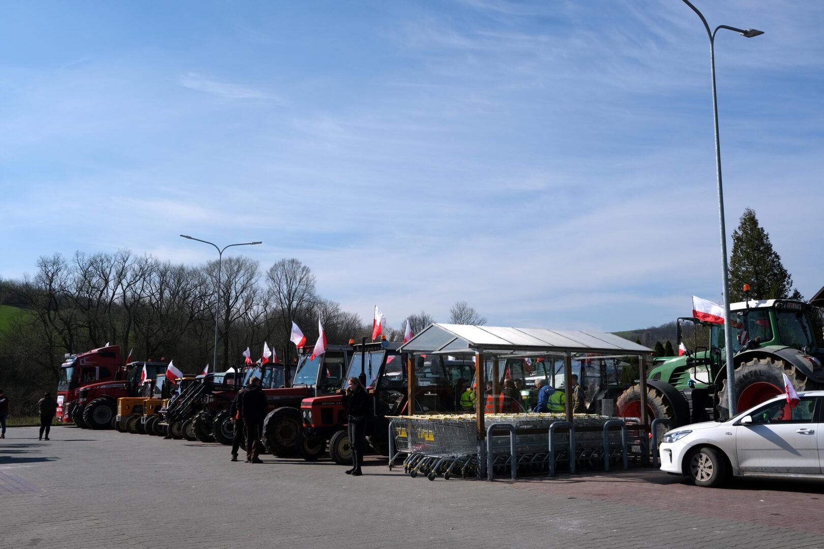 protest rolników, Korzenna