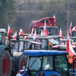 protest rolników, Korzenna