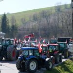 protest rolników, Korzenna