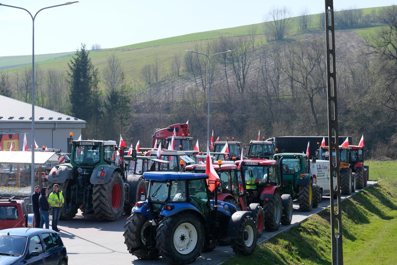 protest rolników, Korzenna