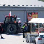 protest rolników, Korzenna