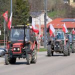protest rolników, Korzenna