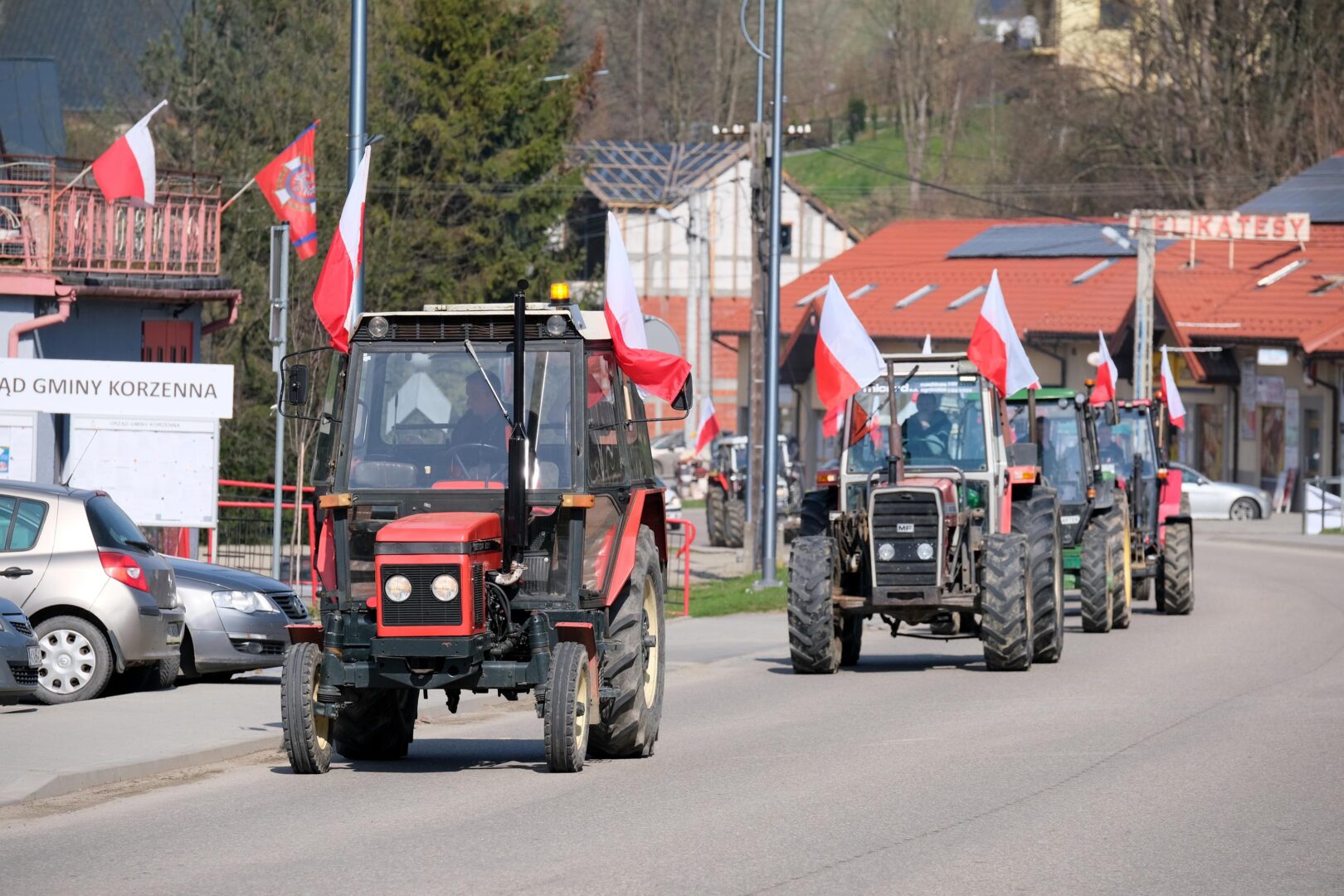 protest rolników, Korzenna