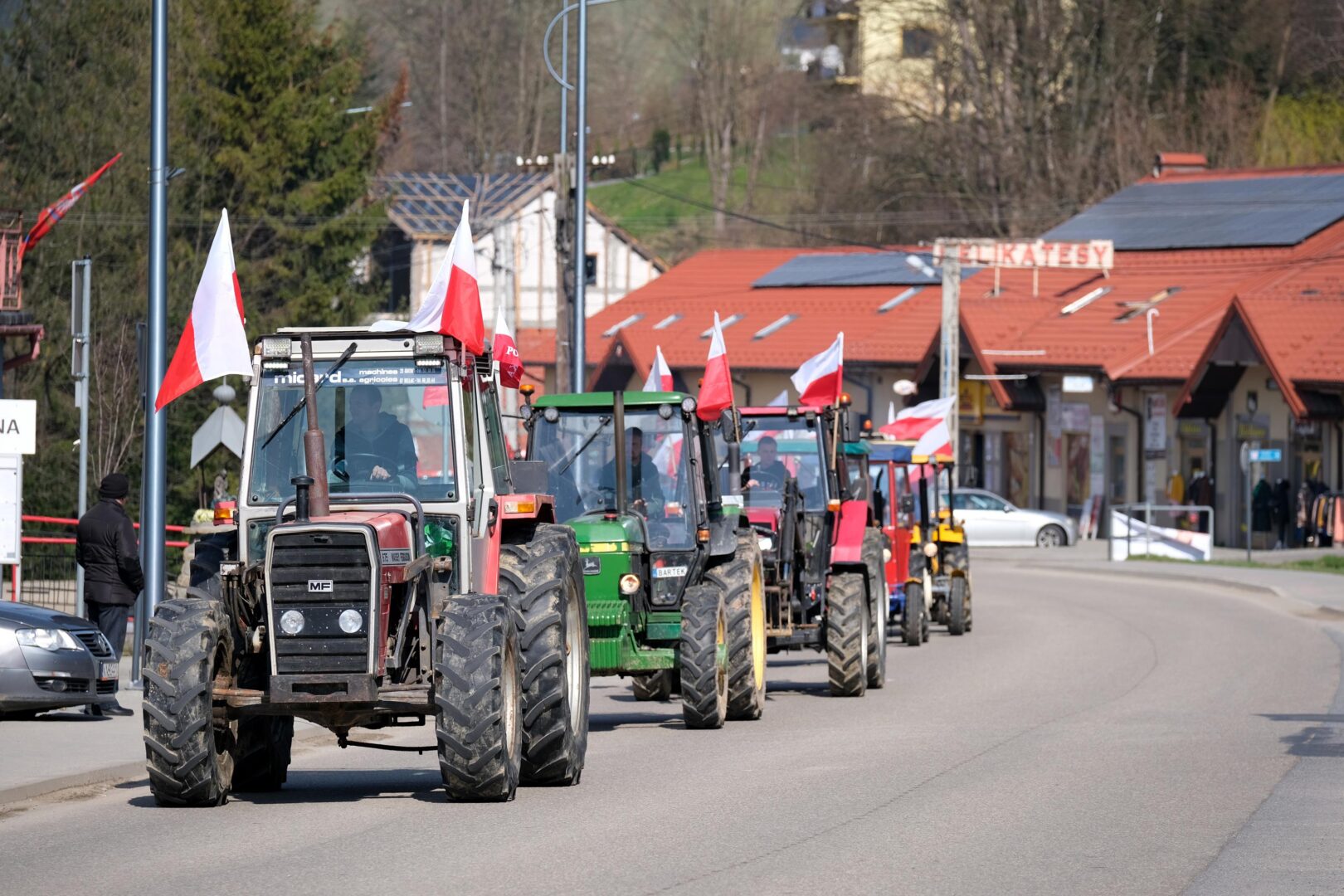 protest rolników, Korzenna